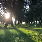 Alda Hotel 2*