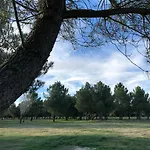 Alda 2*