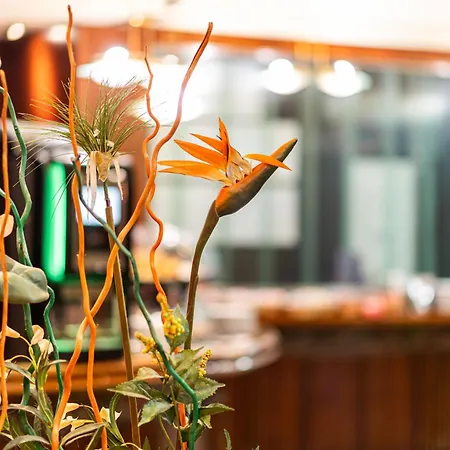 Alda Hotel Guijuelo